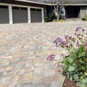 Quarry Stone